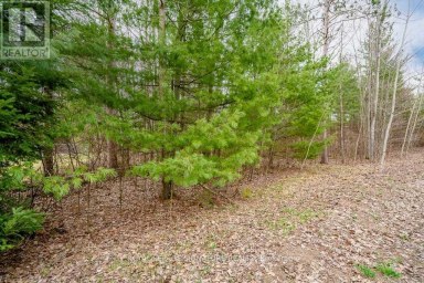 4 NIDA CRESCENT Wasaga Beach Ontario photo 7