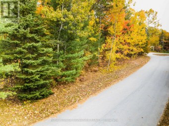 4 NIDA CRESCENT Wasaga Beach Ontario photo 9