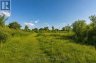 LOT 75-81 PLAN 65 CROSS STREET, Frontenac (frontenac Centre), Ontario, K0H2Y0 (ID X13612400)