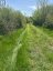 LOT 75-81 PLAN 65 CROSS STREET, Frontenac (frontenac Centre), Ontario, K0H2Y0 (ID X13612400)