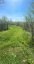 LOT 75-81 PLAN 65 CROSS STREET, Frontenac (frontenac Centre), Ontario, K0H2Y0 (ID X13612400)