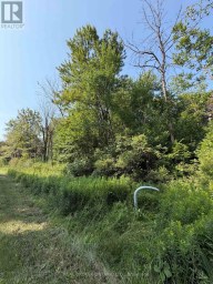 436123 43RD LINE Zorra Ontario photo 3
