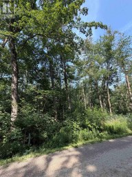436123 43RD LINE Zorra Ontario photo 4
