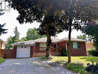 BASEMENT - 5 CARNEGIE COURT Toronto (Newtonbrook West) Ontario photo 1
