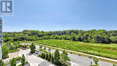 613 - 10 DEERLICK COURT Toronto (Parkwoods-Donalda) Ontario photo 35