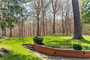 45 HI MOUNT DRIVE Toronto (Bayview Village) Ontario photo 36