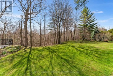 45 HI MOUNT DRIVE Toronto (Bayview Village) Ontario photo 40