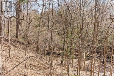 45 HI MOUNT DRIVE Toronto (Bayview Village) Ontario photo 42