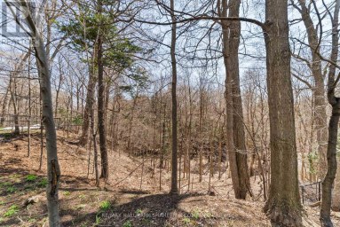 45 HI MOUNT DRIVE Toronto (Bayview Village) Ontario photo 43