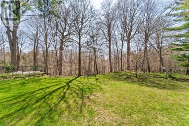 45 HI MOUNT DRIVE Toronto (Bayview Village) Ontario photo 47