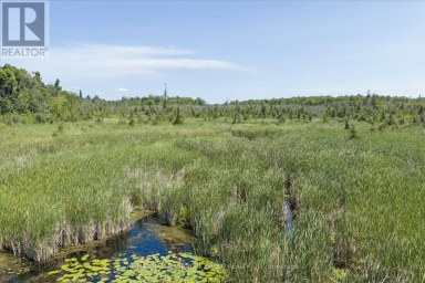 LOT 23 10 CONCESSION Kawartha Lakes (Emily) Ontario photo 13