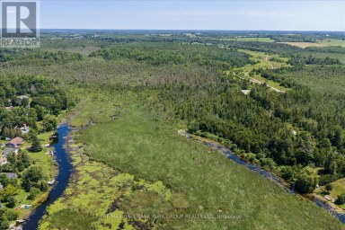 LOT 23 10 CONCESSION Kawartha Lakes (Emily) Ontario photo 16