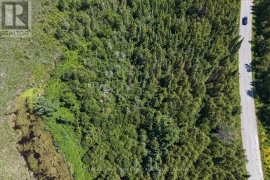 LOT 23 10 CONCESSION Kawartha Lakes (Emily) Ontario photo 17