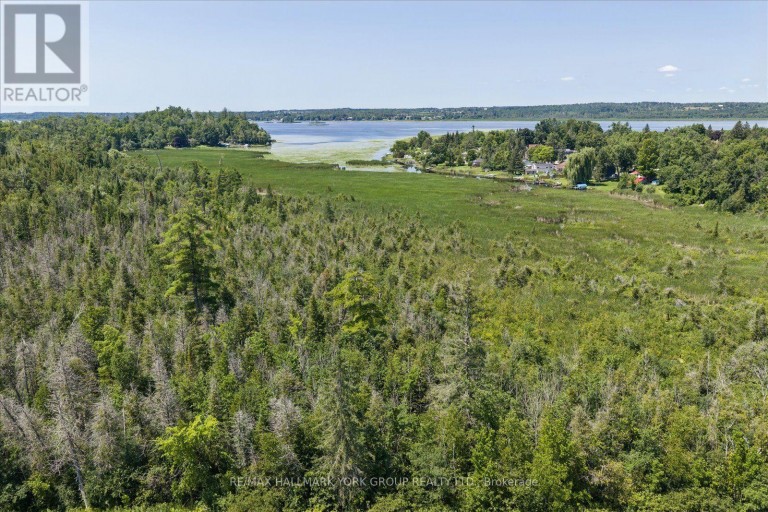 LOT 23 10 CONCESSION, Kawartha Lakes (Emily), Ontario, K0L1T0