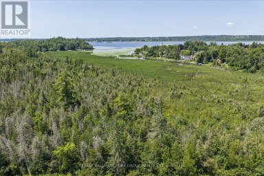 LOT 23 10 CONCESSION Kawartha Lakes (Emily) Ontario photo 19