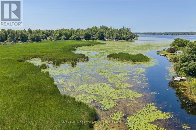 LOT 23 10 CONCESSION, Kawartha Lakes (Emily), Ontario, K0L1T0