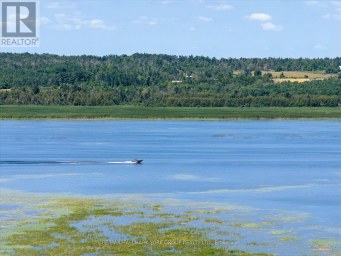 LOT 23 10 CONCESSION Kawartha Lakes (Emily) Ontario photo 8