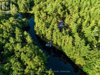 282-G COTTAGE LANE Tweed (Elzevir (Twp)) Ontario photo 3