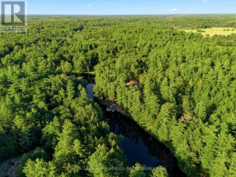 282-G COTTAGE LANE Tweed (Elzevir (Twp)) Ontario photo 50