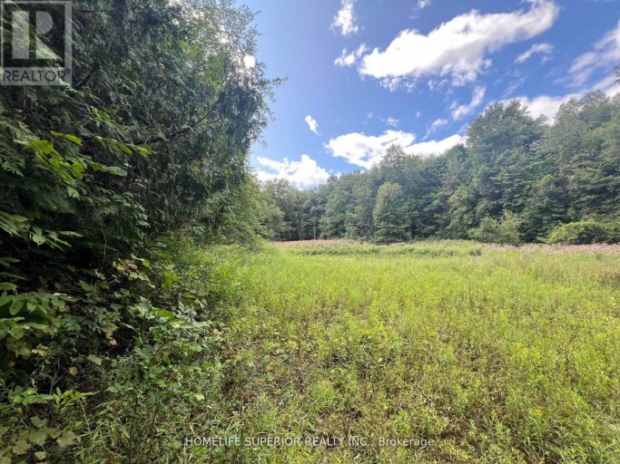 985 TWIDDY ROAD, Centre Hastings, Ontario, K0K2M0