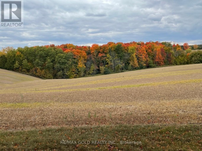 7815 15TH SIDE ROAD, King (Schomberg), Ontario, L0G1T0