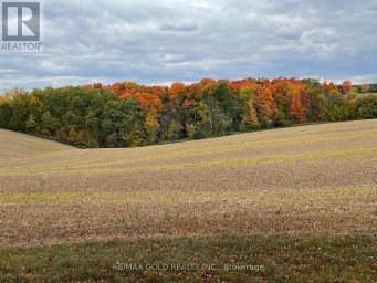 7815 15TH SIDE ROAD King (Schomberg) Ontario photo 5