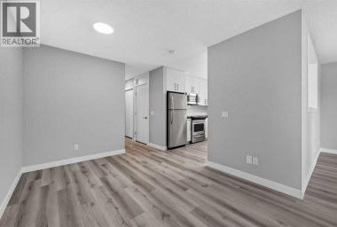 723 55 Avenue SW Calgary Alberta photo 23