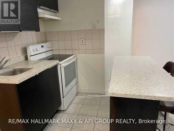 BSMNT - 151 KERSEY CRESCENT Richmond Hill (North Richvale) Ontario photo 4