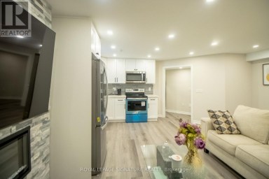 BSMT - 48 PIETROWSKI DRIVE Georgina (Keswick North) Ontario photo 2