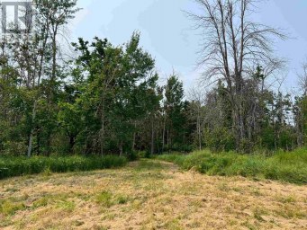 Part 3 Nelson DR St. Joseph Island Ontario photo 31