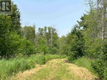 Part 3 Nelson DR St. Joseph Island Ontario photo 32