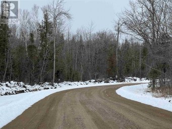 Part 3 Nelson DR St. Joseph Island Ontario photo 33