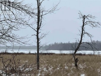 Part 3 Nelson DR St. Joseph Island Ontario photo 35