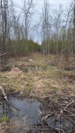 B192 DURHAM REGIONAL  23 ROAD, Brock, Ontario, L0K1A0