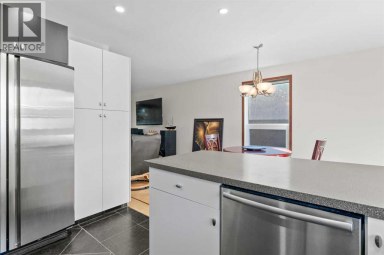436 Attica Drive SE Calgary Alberta photo 10