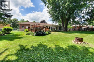 12881 27 HIGHWAY S King (Nobleton) Ontario photo 41