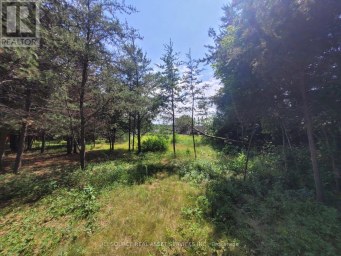 6 GREY STREET Sables-Spanish Rivers Ontario photo 1
