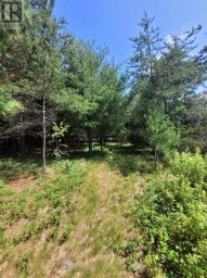 6 GREY STREET Sables-Spanish Rivers Ontario photo 2