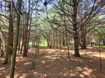 6 GREY STREET Sables-Spanish Rivers Ontario photo 3
