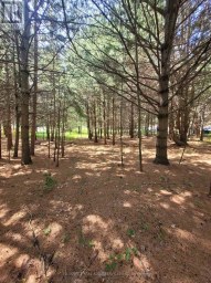 6 GREY STREET Sables-Spanish Rivers Ontario photo 7
