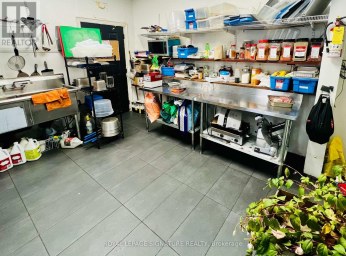 761 DUNDAS STREET W Toronto (Trinity-Bellwoods) Ontario photo 12
