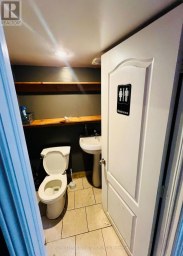 761 DUNDAS STREET W Toronto (Trinity-Bellwoods) Ontario photo 18