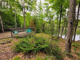 130A FINNEGAN LANE Wollaston Ontario photo 11