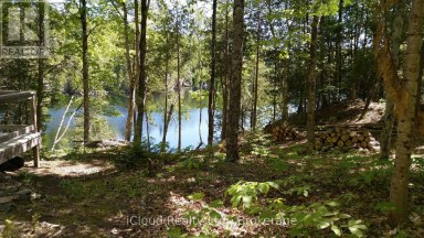 130A FINNEGAN LANE Wollaston Ontario photo 14