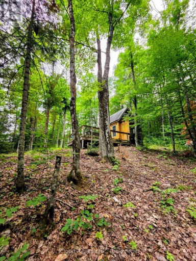 130A FINNEGAN LANE, Wollaston, Ontario, K0L1P0