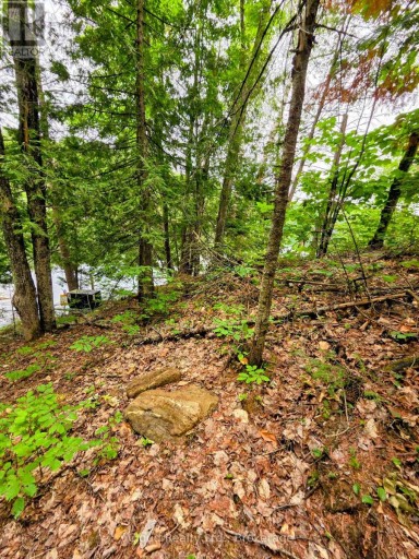 130A FINNEGAN LANE, Wollaston, Ontario, K0L1P0