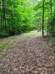 130A FINNEGAN LANE Wollaston Ontario photo 27