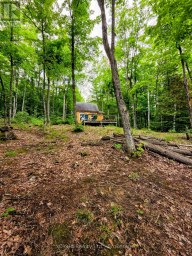 130A FINNEGAN LANE Wollaston Ontario photo 29
