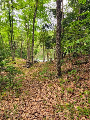 130A FINNEGAN LANE, Wollaston, Ontario, K0L1P0