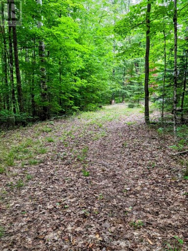 130A FINNEGAN LANE, Wollaston, Ontario, K0L1P0